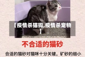 【疫情杀猫狗,疫情杀宠物】