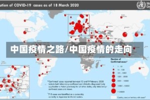 中国疫情之路/中国疫情的走向
