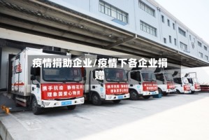 疫情捐助企业/疫情下各企业捐赠