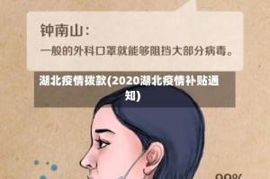 湖北疫情拨款(2020湖北疫情补贴通知)