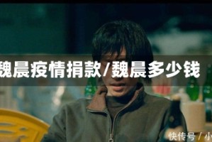 魏晨疫情捐款/魏晨多少钱