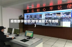 疫情数字城管(数字城管工作流程)