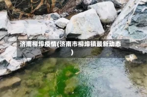 济南柳埠疫情(济南市柳埠镇最新动态)