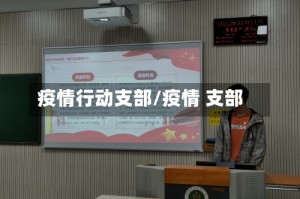 疫情行动支部/疫情 支部