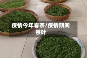 疫情今年春茶/疫情期间茶叶