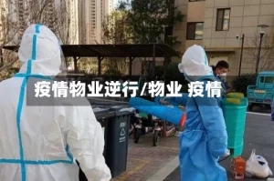 疫情物业逆行/物业 疫情