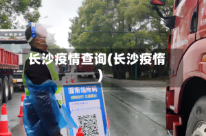 长沙疫情查询(长沙疫惰)