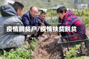 疫情脱贫户/疫情扶贫脱贫