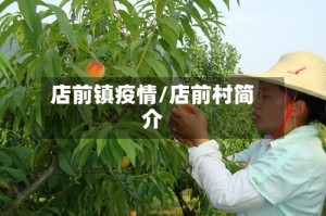 店前镇疫情/店前村简介