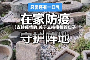 【支持疫情的,关于支持疫情的句子】