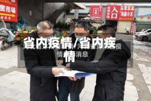 省内疫情/省内疾情