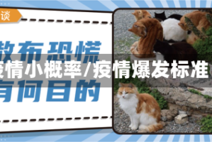 疫情小概率/疫情爆发标准