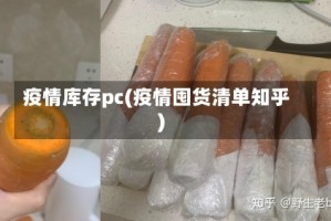 疫情库存pc(疫情囤货清单知乎)