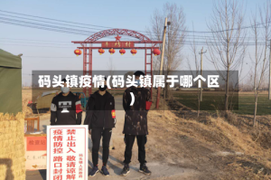 码头镇疫情(码头镇属于哪个区)