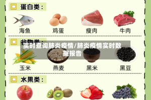 实时查询肺炎疫情/肺炎疫情实时数据报告