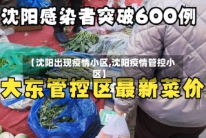 【沈阳出现疫情小区,沈阳疫情管控小区】