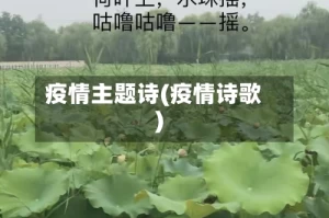 疫情主题诗(疫情诗歌)