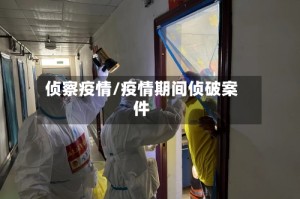 侦察疫情/疫情期间侦破案件