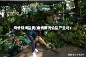 疫情期间盗伐(疫情期间偷盗严重吗)