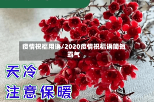 疫情祝福用语/2020疫情祝福语简短霸气