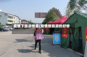 疫情下旅游惨重(疫情做旅游的好惨)
