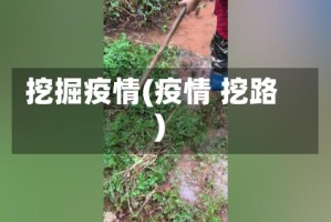 挖掘疫情(疫情 挖路)