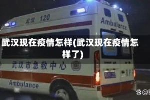 武汉现在疫情怎样(武汉现在疫情怎样了)