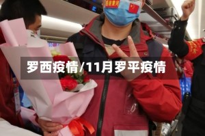 罗西疫情/11月罗平疫情