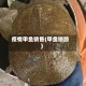 疫情甲鱼销售(甲鱼销路)