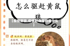【疫情野狼,疫情野味指的是什么】