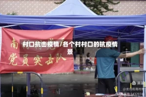 村口抗击疫情/各个村村口的抗疫情景