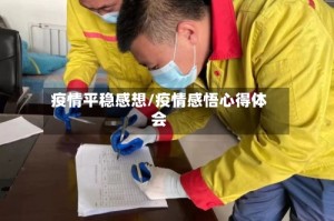 疫情平稳感想/疫情感悟心得体会