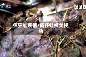 疯狂蛙疫情/疯狂蛙搞笑视频