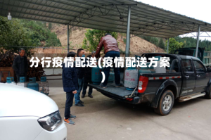 分行疫情配送(疫情配送方案)