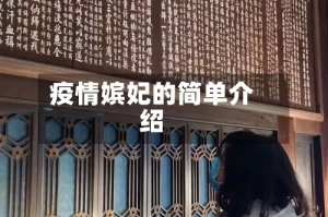 疫情嫔妃的简单介绍