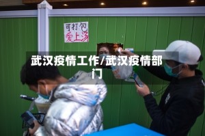 武汉疫情工作/武汉疫情部门