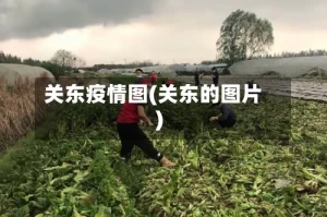 关东疫情图(关东的图片)