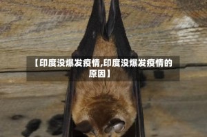 【印度没爆发疫情,印度没爆发疫情的原因】