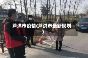芦洪市疫情(芦洪市最新规划)