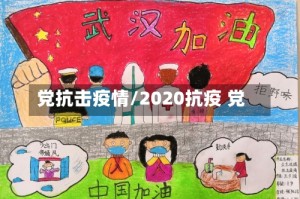 党抗击疫情/2020抗疫 党