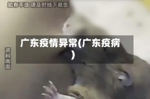 广东疫情异常(广东疫病)