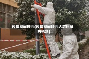 疫情期间陕西(疫情期间陕西人对回家的执念)