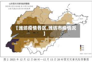 【潍坊疫情各区,潍坊市疫情况】