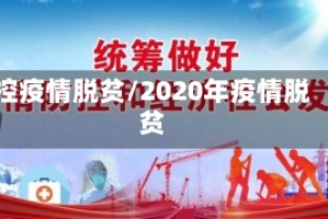 控疫情脱贫/2020年疫情脱贫