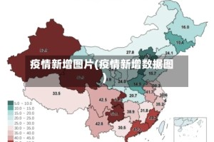 疫情新增图片(疫情新增数据图)