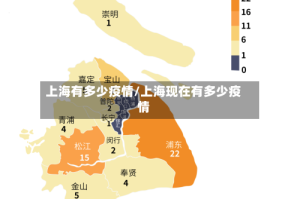 上海有多少疫情/上海现在有多少疫情