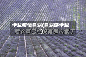 伊犁疫情自驾(自驾游伊犁)