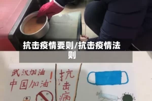 抗击疫情要则/抗击疫情法则
