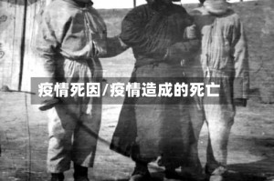 疫情死因/疫情造成的死亡