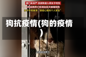 狗抗疫情(狗的疫情)